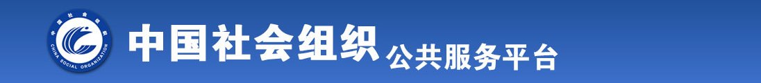 大骚逼综合视频全国社会组织信息查询